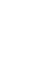 BAS_web_CS v4_icono 1