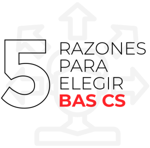 5 razones para elegir BAS CS Software ERP